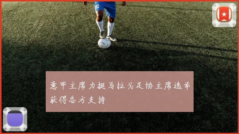 意甲主席力挺马拉戈足协主席选举获得各方支持